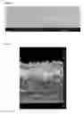 Fig. 07 - CARBON-NANOTUBE-BASED COMPOSITE COATING AND PRODUCTION METHOD THEREOF