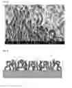 Fig. 08 - CARBON-NANOTUBE-BASED COMPOSITE COATING AND PRODUCTION METHOD THEREOF