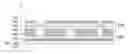 Fig. 01 - Method for producing chip for cell culture