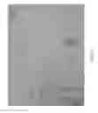 Fig. 11 - DIGESTIBLE SUBSTRATES FOR CELL CULTURE
