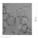 Fig. 12 - DIGESTIBLE SUBSTRATES FOR CELL CULTURE