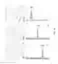 Fig. 15 - DIGESTIBLE SUBSTRATES FOR CELL CULTURE