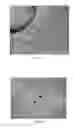 Fig. 02 - Culture medium for generating microglia from pluripotent stem cells and related methods