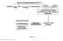 Fig. 04 - Culture medium for generating microglia from pluripotent stem cells and related methods