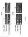 Fig. 22 - Degron fusion constructs and methods for controlling protein production