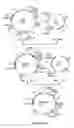 Fig. 04 - Variant of D-psicose 3-epimerase and uses thereof