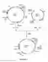 Fig. 06 - Variant of D-psicose 3-epimerase and uses thereof