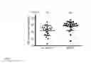 Fig. 02 - Methods to accelerate antibody diversification
