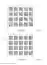 Fig. 02 - SCAFFOLDED NUCLEIC ACID POLYMER PARTICLES AND METHODS OF MAKING AND USING