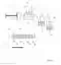 Fig. 03 - SCAFFOLDED NUCLEIC ACID POLYMER PARTICLES AND METHODS OF MAKING AND USING