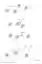 Fig. 06 - SCAFFOLDED NUCLEIC ACID POLYMER PARTICLES AND METHODS OF MAKING AND USING