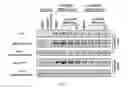 Fig. 14 - Tunable endogenous protein degradation