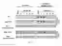 Fig. 15 - Tunable endogenous protein degradation