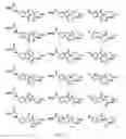 Fig. 28 - Tunable endogenous protein degradation