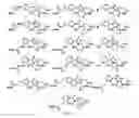 Fig. 33 - Tunable endogenous protein degradation