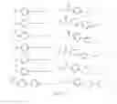 Fig. 37 - Tunable endogenous protein degradation