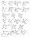 Fig. 40 - Tunable endogenous protein degradation