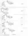 Fig. 45 - Tunable endogenous protein degradation