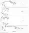 Fig. 46 - Tunable endogenous protein degradation