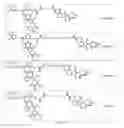 Fig. 50 - Tunable endogenous protein degradation