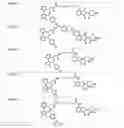 Fig. 57 - Tunable endogenous protein degradation
