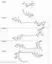 Fig. 58 - Tunable endogenous protein degradation