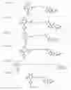 Fig. 60 - Tunable endogenous protein degradation