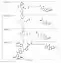 Fig. 62 - Tunable endogenous protein degradation