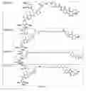 Fig. 65 - Tunable endogenous protein degradation