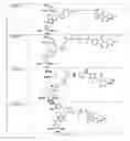 Fig. 68 - Tunable endogenous protein degradation