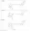 Fig. 74 - Tunable endogenous protein degradation