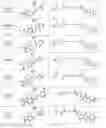 Fig. 80 - Tunable endogenous protein degradation