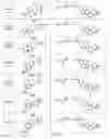 Fig. 82 - Tunable endogenous protein degradation