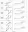 Fig. 90 - Tunable endogenous protein degradation