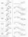 Fig. 93 - Tunable endogenous protein degradation