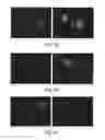 Fig. 05 - Method and Medicament For Inhibiting The Expression of A Given Gene