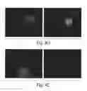 Fig. 06 - Method and Medicament For Inhibiting The Expression of A Given Gene
