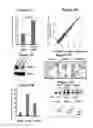 Fig. 06 - Modulation of BCL11A for treatment of hemoglobinopathies
