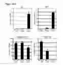 Fig. 15 - Modulation of BCL11A for treatment of hemoglobinopathies