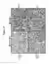 Fig. 17 - Modulation of BCL11A for treatment of hemoglobinopathies