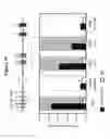 Fig. 19 - Modulation of BCL11A for treatment of hemoglobinopathies