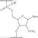 Fig. 03 - ANTISENSE NUCLEIC ACIDS