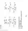 Fig. 03 - Modified L-Nucleic Acid