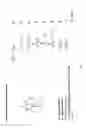 Fig. 05 - Modified L-Nucleic Acid