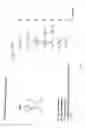 Fig. 06 - Modified L-Nucleic Acid