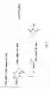 Fig. 07 - Modified L-Nucleic Acid