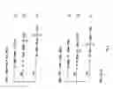 Fig. 09 - Modified L-Nucleic Acid