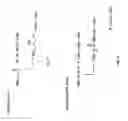 Fig. 15 - Modified L-Nucleic Acid