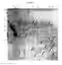 Fig. 06 - Reduction of lipase activity in product formulations