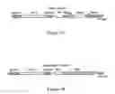 Fig. 04 - Methods and means for obtaining modified phenotypes
